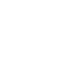Custom Logo Design Services in Zimbabwe