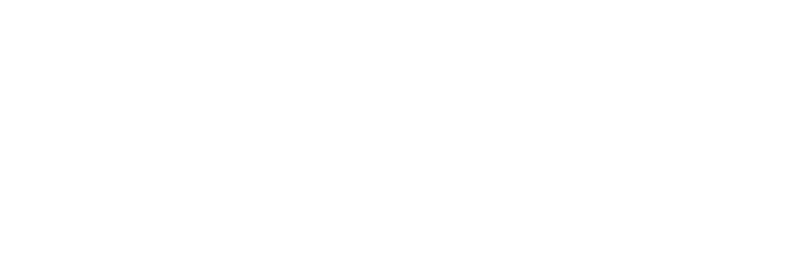DigitalPleat Logo, Zimbabwe's leading marketing agency